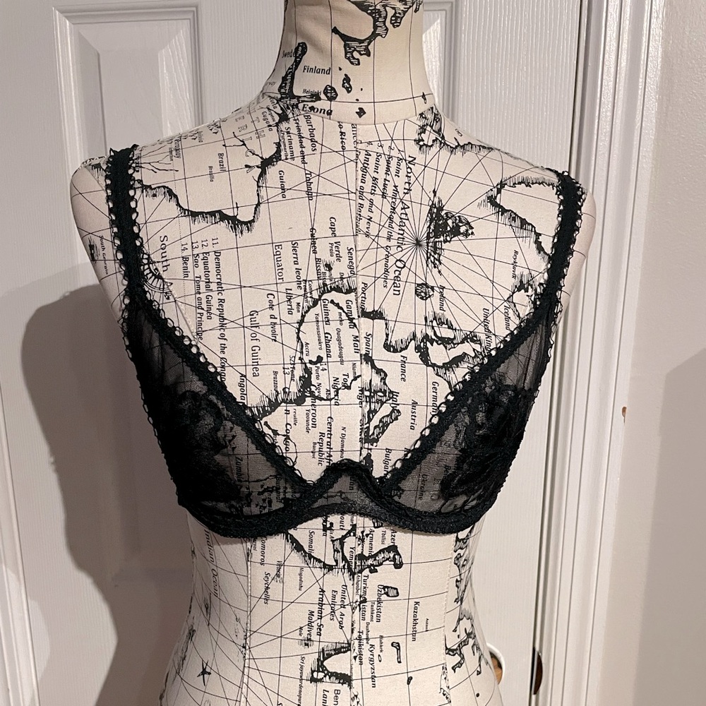 Vintage Star Lace Sheer Wide Wire Whimsygoth coquete Balconette retro plunge 50s